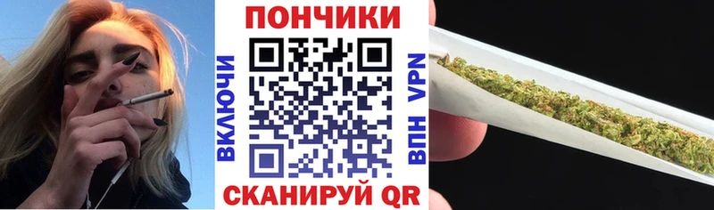 Конопля сатива  Купить  Фрязино 